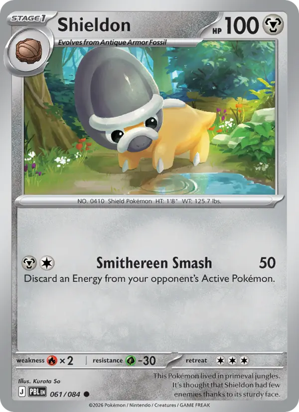 Shieldon 61/84