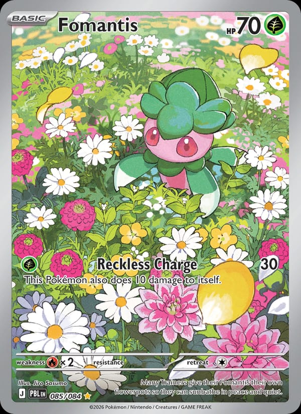 Fomantis 085/084