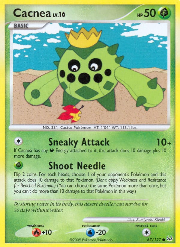 Cacnea 067/127