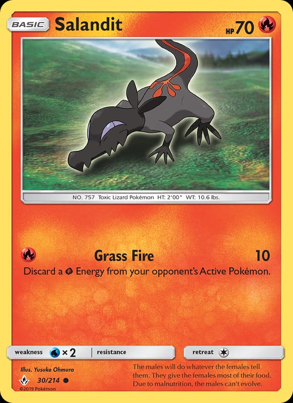 Salandit 030/214