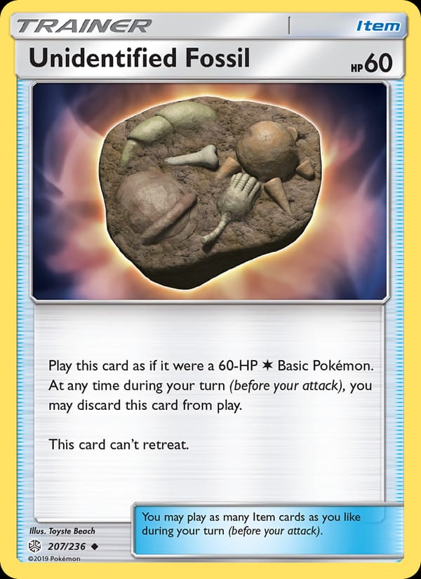 Unidentified Fossil 207/236