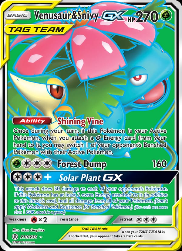 Venusaur & Snivy GX 210/236