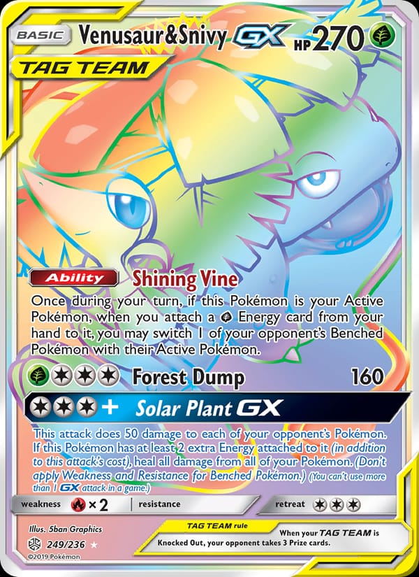 Venusaur & Snivy GX 249/236