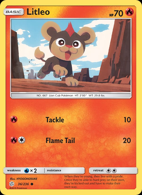 Litleo 036/236