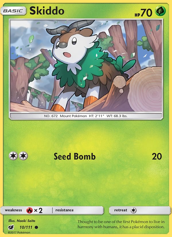 Skiddo 010/111