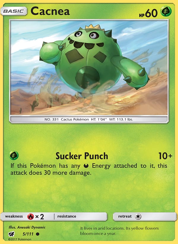 Cacnea 005/111