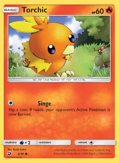 Torchic