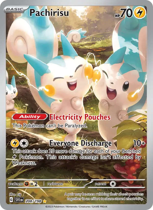 Pachirisu 208 – Holo