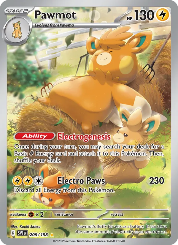 Pawmot 209 – Holo