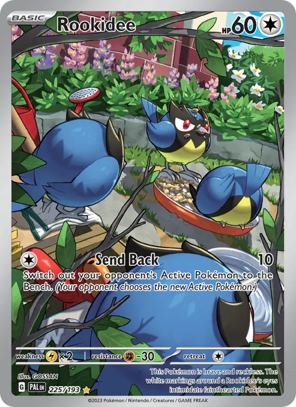 Rookidee 225 – Holo