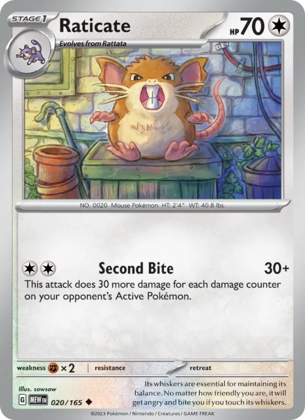 Raticate 020 – Non-holo