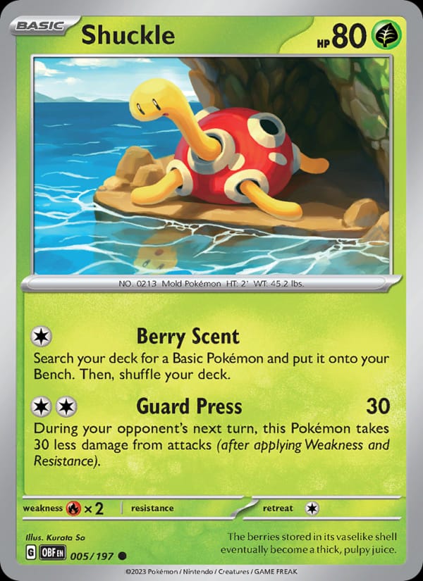 Shuckle 005/197