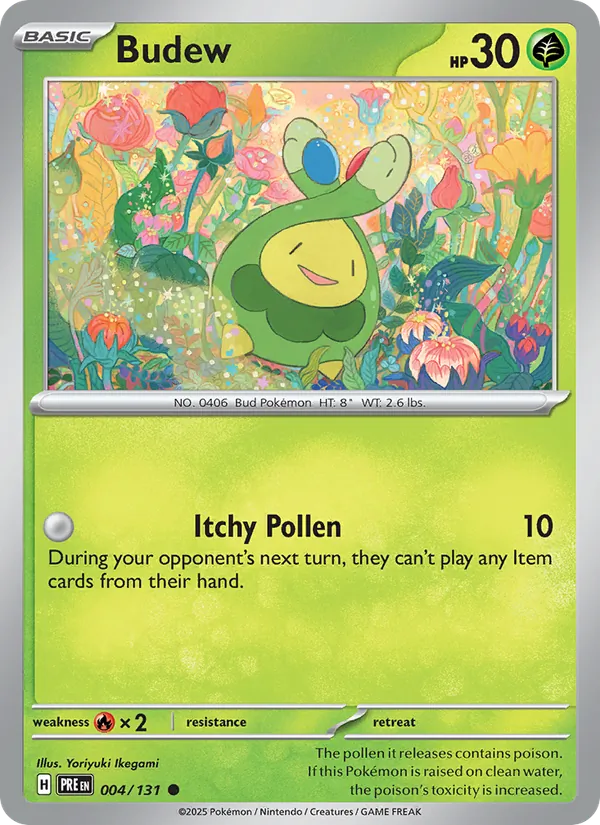 Budew 004 – Non-holo