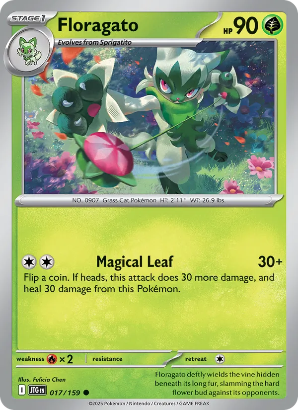 Floragato 017 – Non-holo