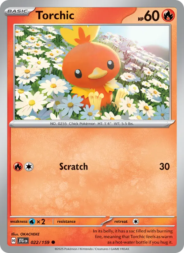 Torchic 022 – Non-holo