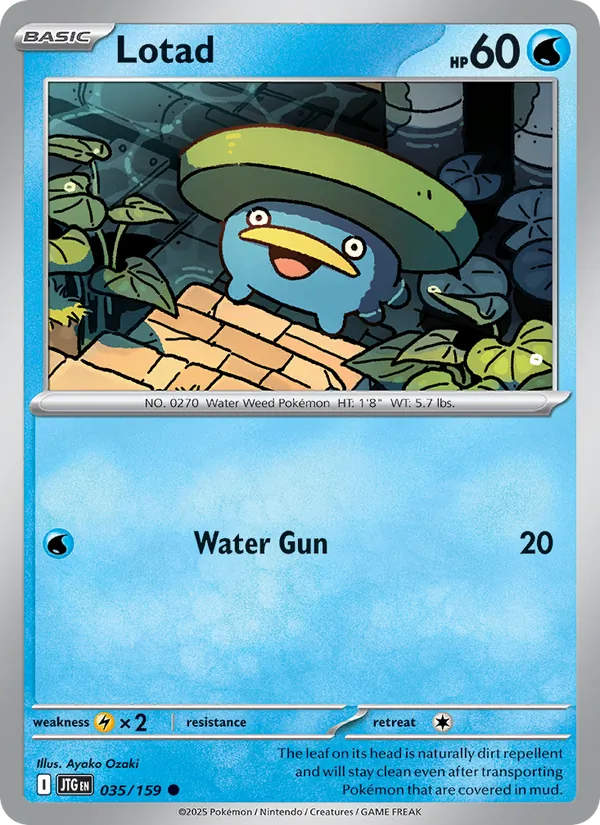 Lotad 035 – Non-holo