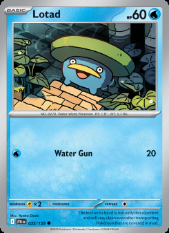 Lotad