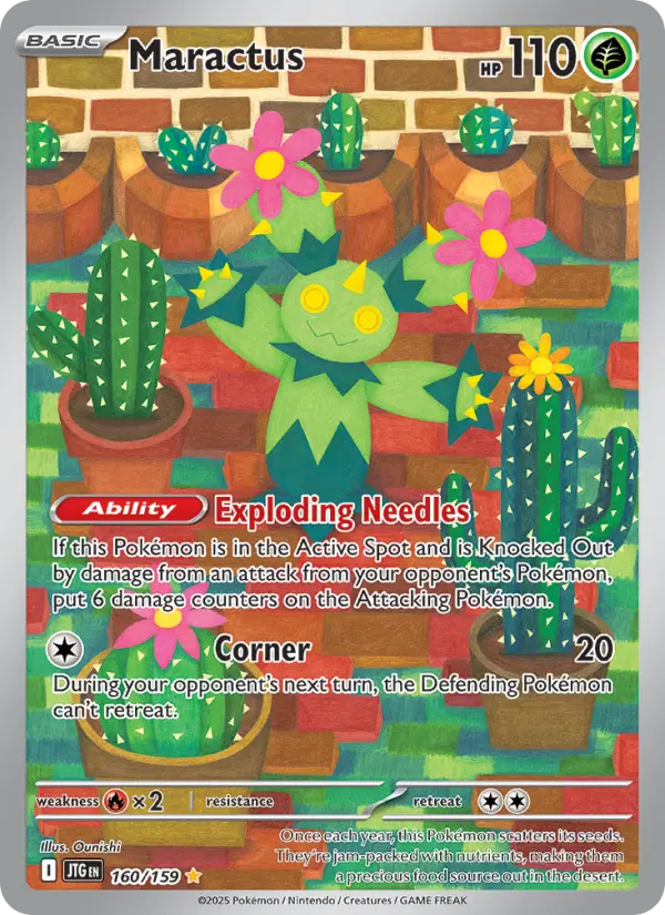 Maractus 160 – Holo