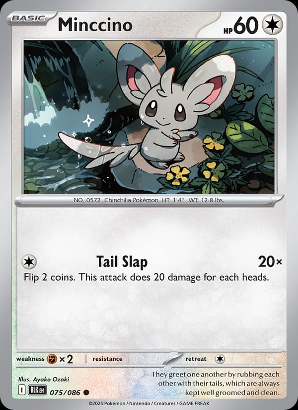 Minccino 075/086