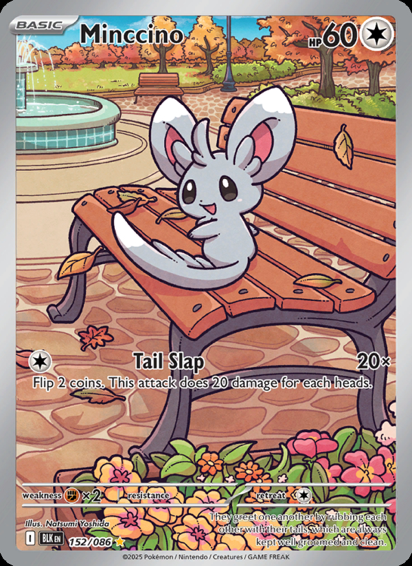 Minccino