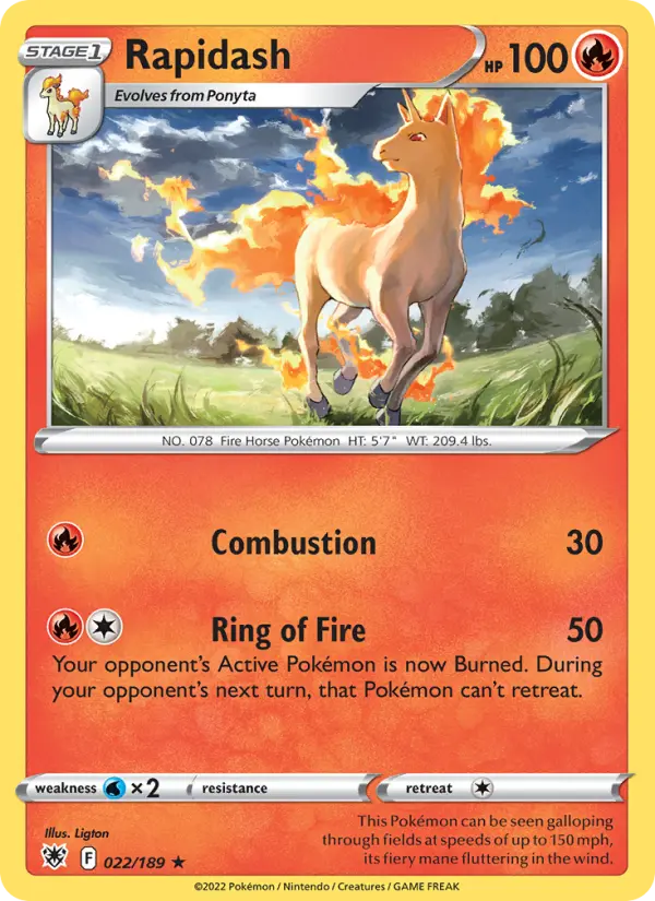 Rapidash 022 – Non-holo