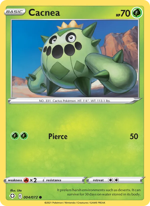 Cacnea 4 – Non-holo