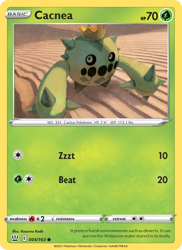 Cacnea 4 – Non-holo