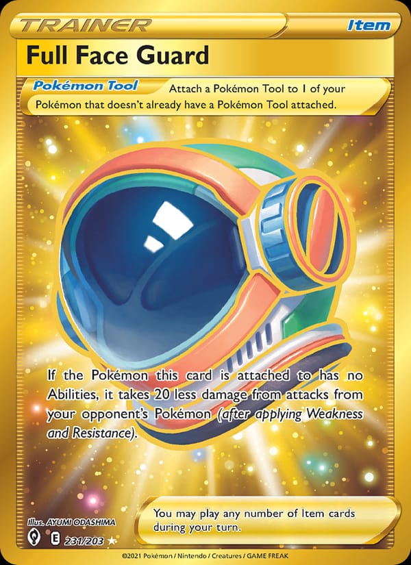 Full Face Guard 231/203