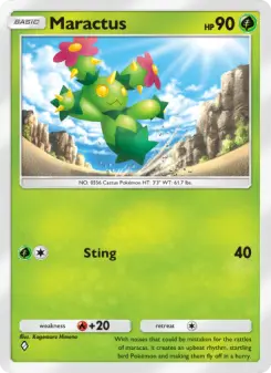 Maractus