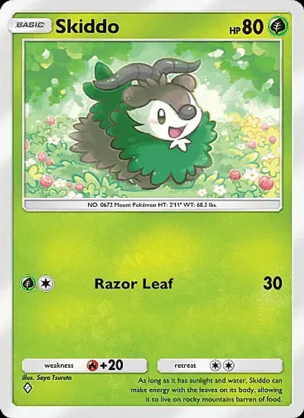 Skiddo 021/226
