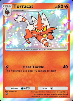 Torracat
