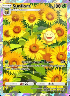 Sunflora