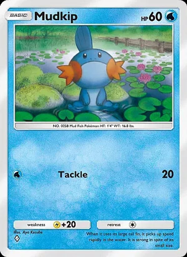 Mudkip 033/155