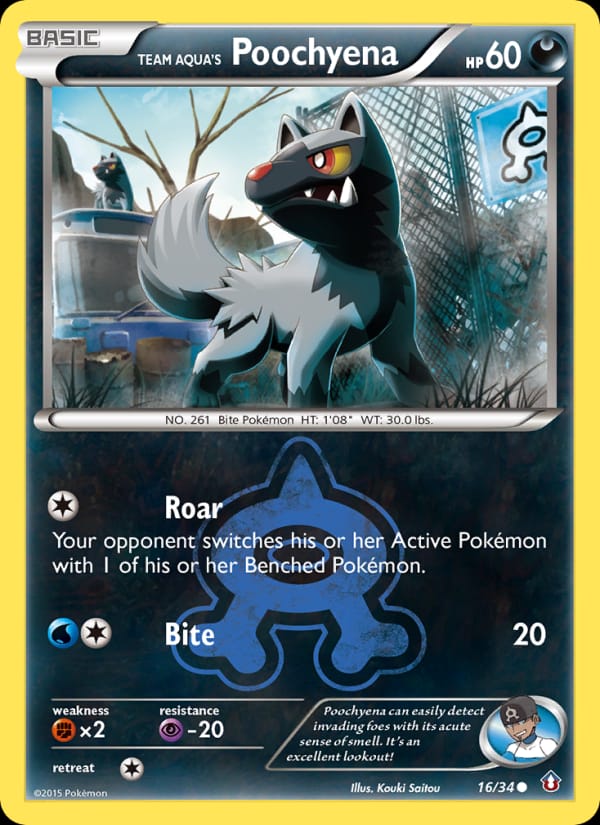Team Aqua's Poochyena 016/034