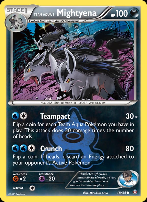 Team Aqua's Mightyena 018/034