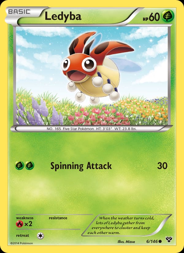 Ledyba 006/146