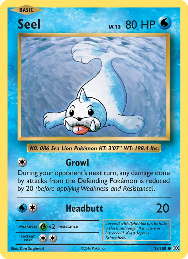 Seel 28 – Non-holo