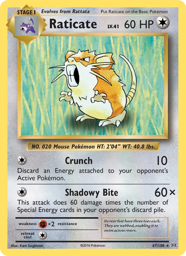 Raticate 67 – Non-holo
