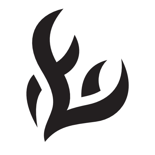 Flashfire Pokémon set symbol