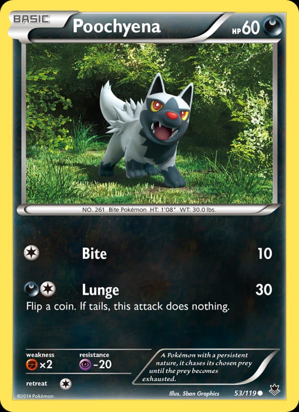 Poochyena 053/119