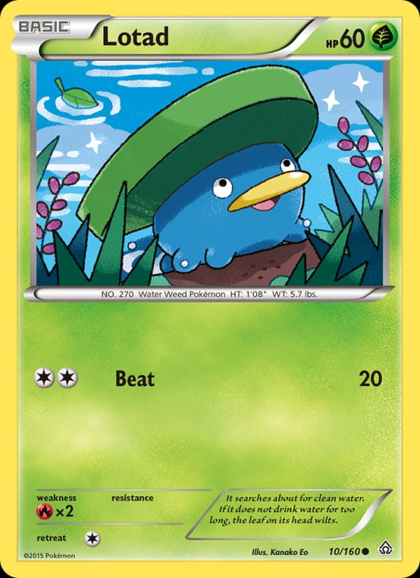 Lotad 010/160