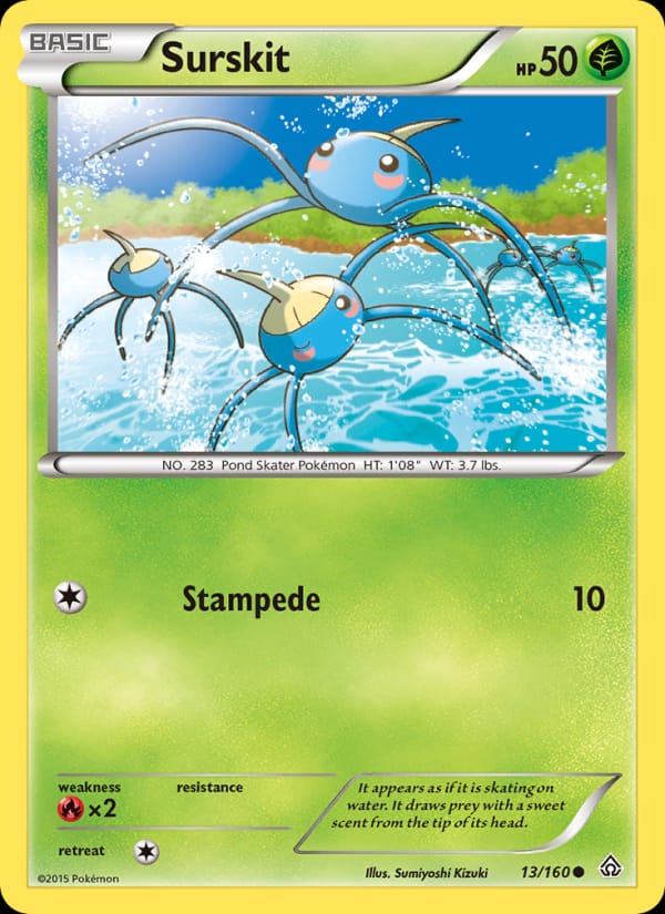 Surskit 013/160