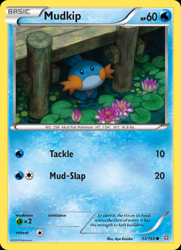Mudkip 033/160