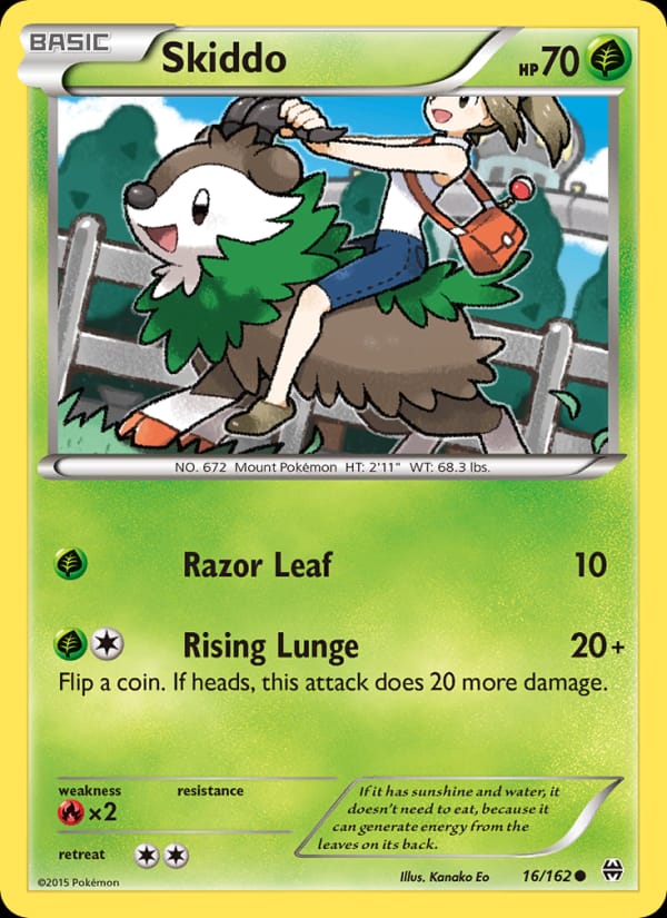 Skiddo 016/162