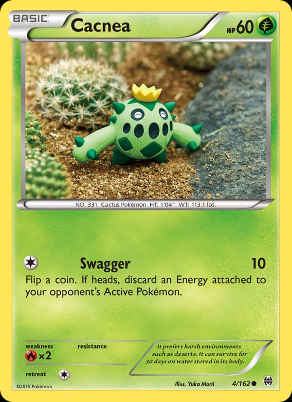 Cacnea 004/162
