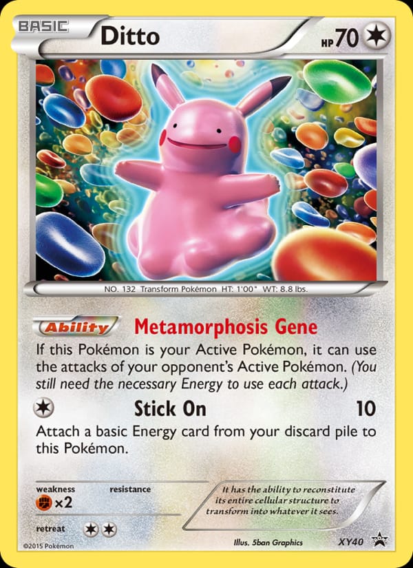 Ditto #XY40, XY Black Star Promos