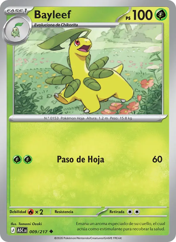 Bayleef (Spanish (Mexico))
