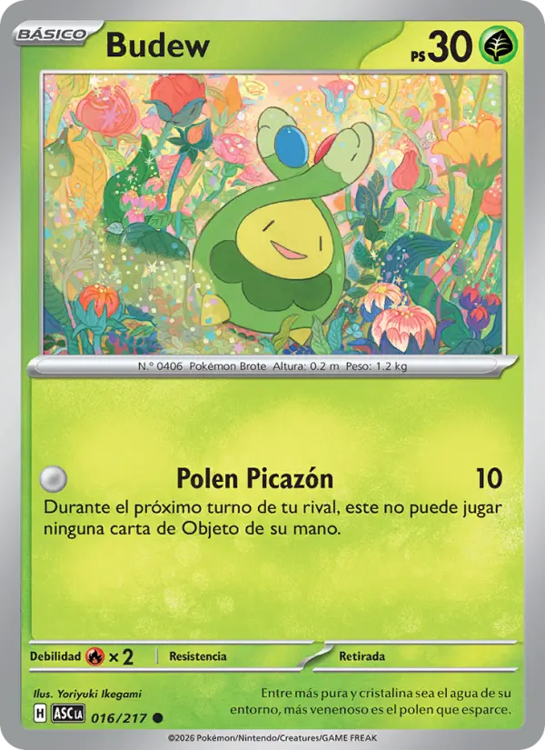 Budew (Spanish (Mexico))
