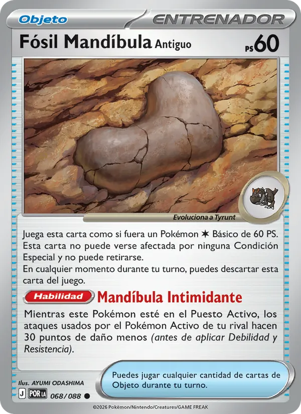 Fósil Mandíbula Antiguo