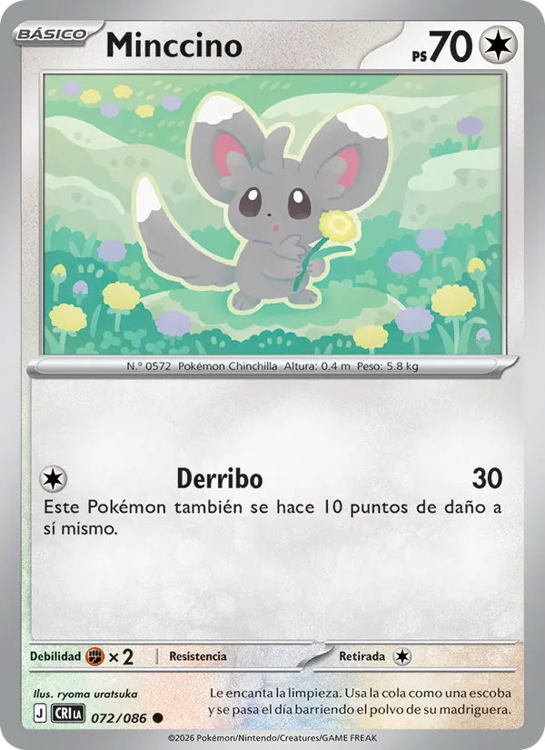 Minccino